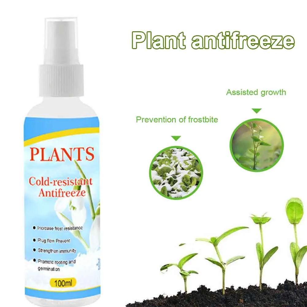 Фрукты деревья завод антифриз риса фермы агент кедр практичные аксессуары двор