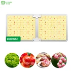 Фитолампа BEYLSION 2000WSC, светодиодсветильник Квантовая доска для выращивания растений