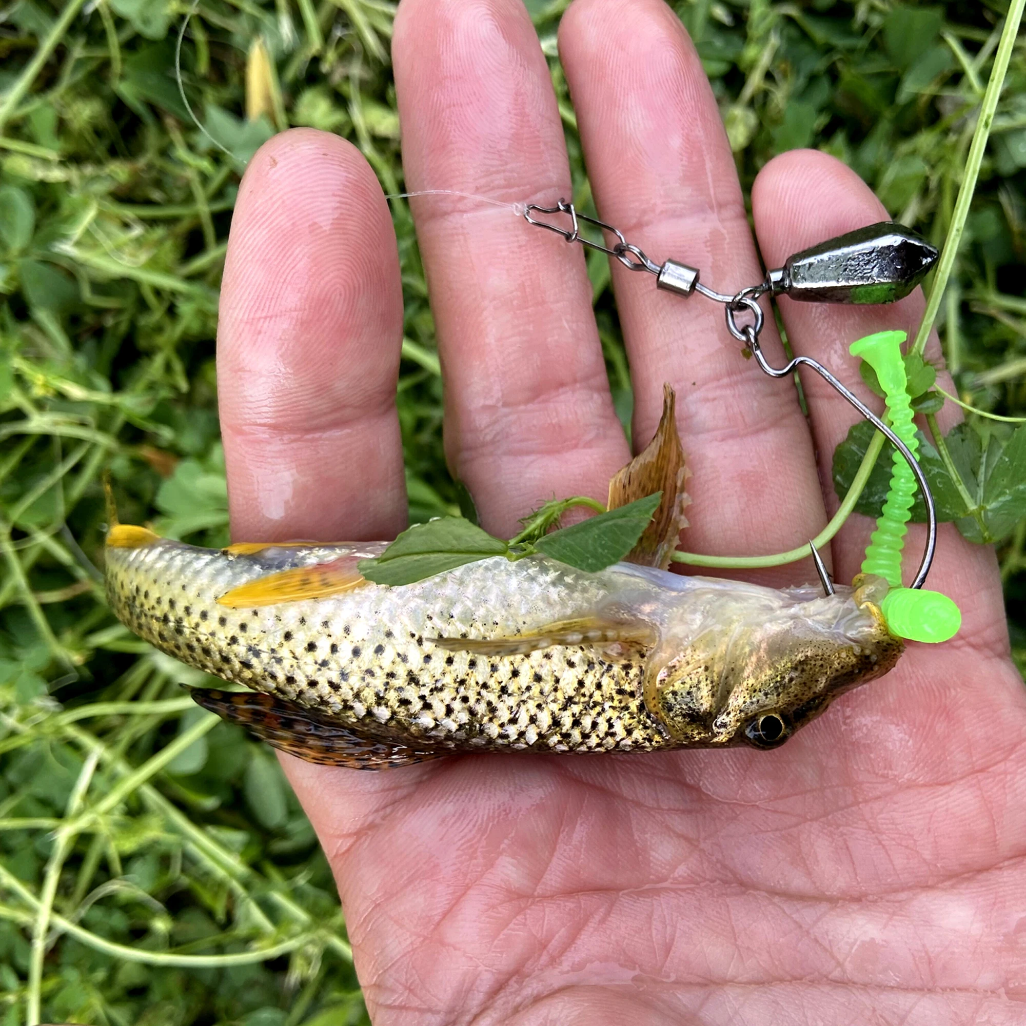 Рыболовный крючок Thkfish острый Смещенный с весом широкий зазор под червя