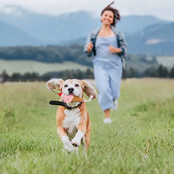 Пищалка для щенков милые плюшевые игрушки игр и чистки зубов нетоксичные