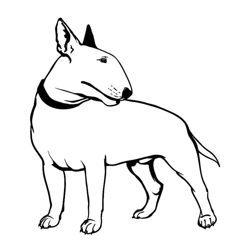 

Funny Bullterrier Dog Pet Animal Feet Tail Guard Car Sticker Automobiles Motorcycles Exterior Accessories Vinyl Decals