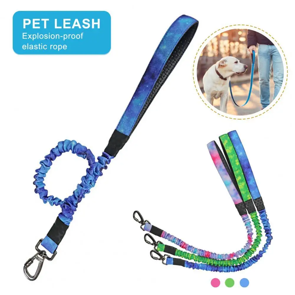 

Pet Leash Comfortable Grip Prevent Rushing Out Anti-rust Pet Dogs Traction Rope for Small Medium Large Dogs