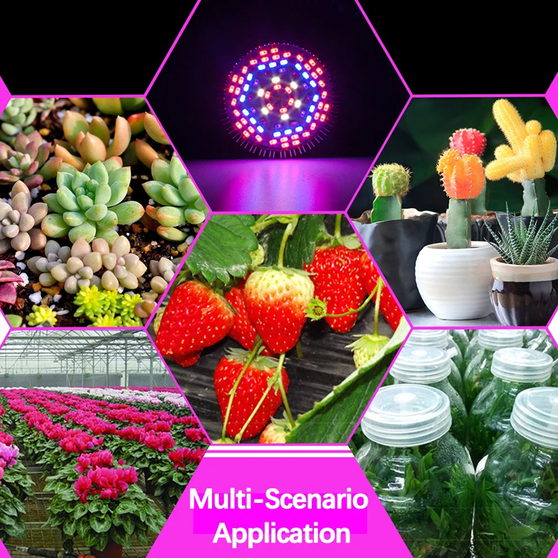 

E27 LED Grow Light Full Spectrum 8/10/30/50/80W Red Blue UV IR Led Growing Lamp For Hydroponics Flower Plant Vegetables SMD5730
