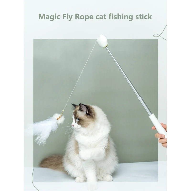 

Double Head Lasering Cat Teasers Rod Retractable Pen Toy for Pet