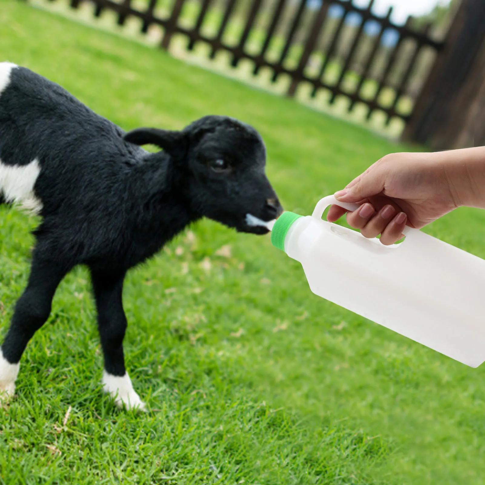 

Baby Lamb Milk Bottle No Leakage Ergonomic Handle Lamb Feeder
