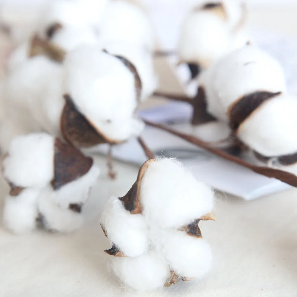 

Artificial Flowers Garden Decoration Fake Flower Naturally Dried Cotton Stems Farmhouse Artificial Flower Filler Floral Decor