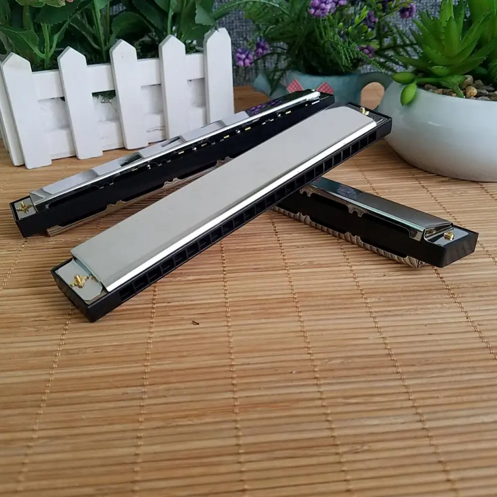 Диатоническая гармоника с 24 отверстиями Серебряный блюз диатоническая