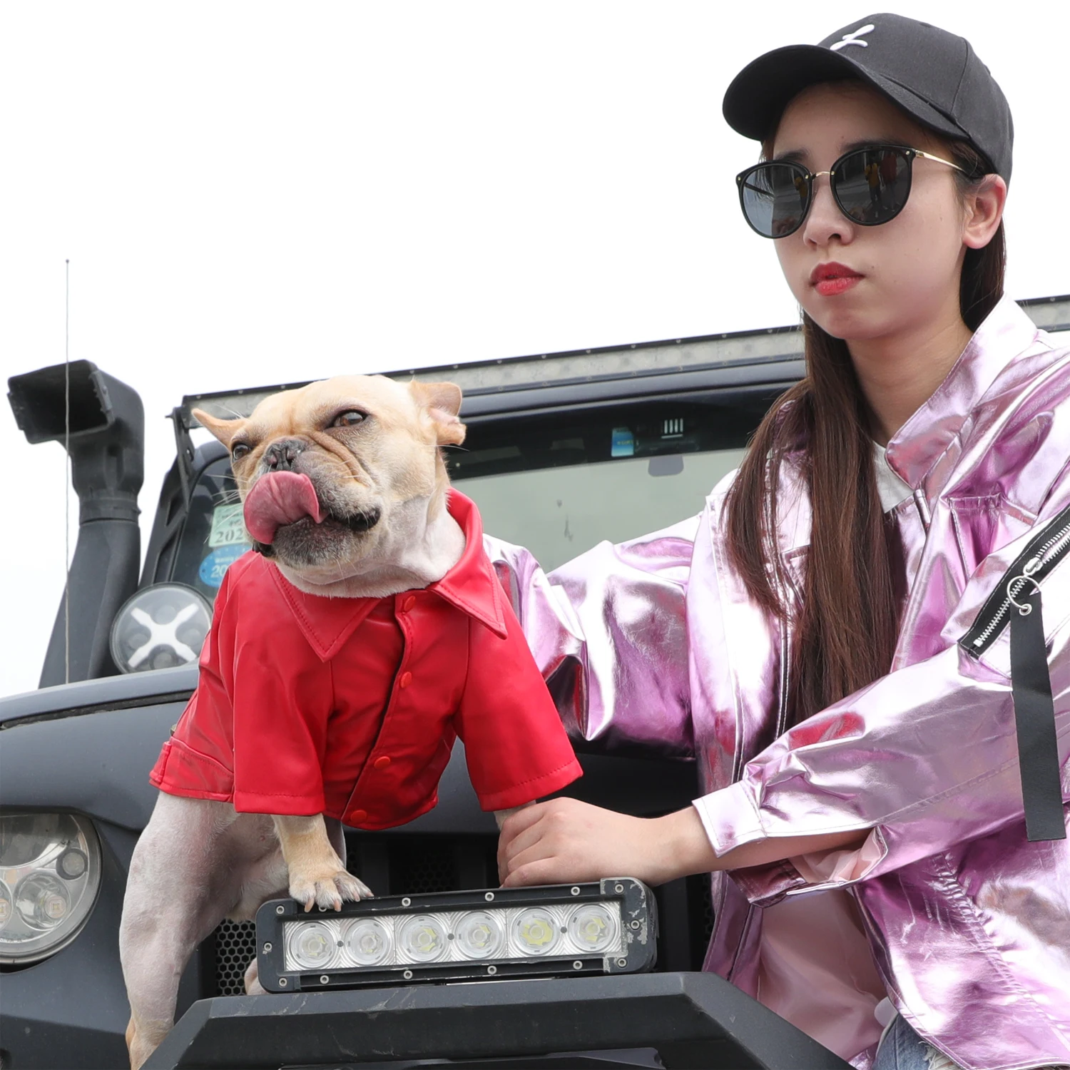 Hoopet Autumn Winter Clothing For Dogs Fashion Ropa Perro French Bulldog Jacke Handsome Leather Clothes Pet Dog Suppliers | Дом и сад