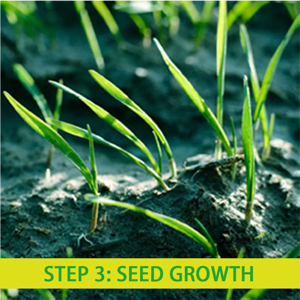 Распродажа 160x160 см биоразлагаемые газонной травы семян коврик для прорастания