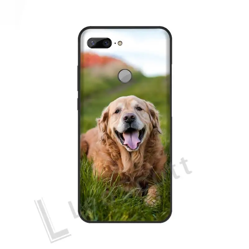 

Cute dog Phone Cases For Huawei NOVA 2 2i 2s 3i 4 4e 5 plus P10 lite 20 P20 pro honor10