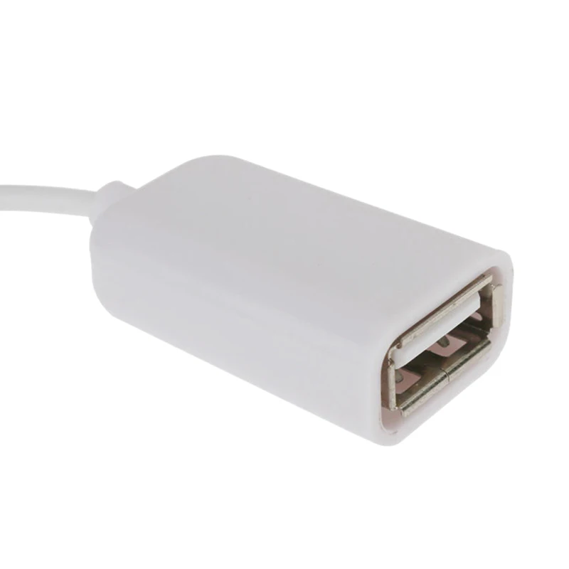 8-контактный переходник OTG на гнездо USB 2 0 CableAdapter Reader для iPad 4/iPad Air/iPad5/iPad Mini Camera