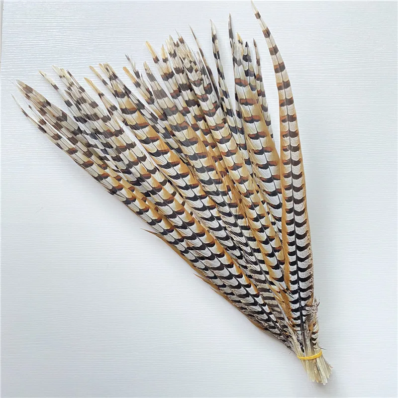 

50pcs/Lot Natural Pheasant Feathers 70-80cm/28-32inches Accessories Plumas Wedding Party Crafts DIY