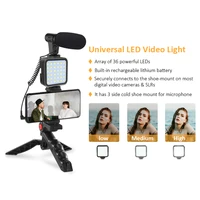 recording handle stabilizer bracket professional phone video microphone light tripod kit for vlogging photography