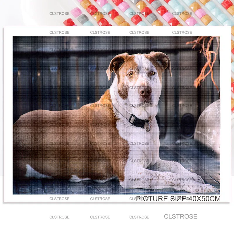 

Diy Diamond Painting Pet Dog On Sofa Home Bedroom Living Room Wall Decoration Square Diamond Round Diamond Acrylic Material