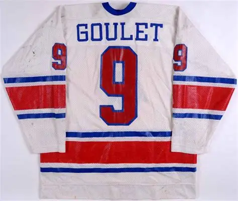 

Birmingham Bulls #9 MICHEL GOULET Retro throwback MEN'S Hockey Jersey Embroidery Stitched Customize any number and name