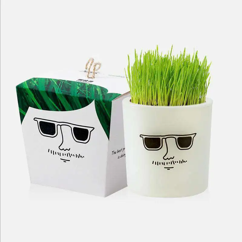 

Комнатное садоводство и культивирование Искусственные цветы Декор креативный горшечный Детский Сделай Сам посадка игрушка Подарки комнат...