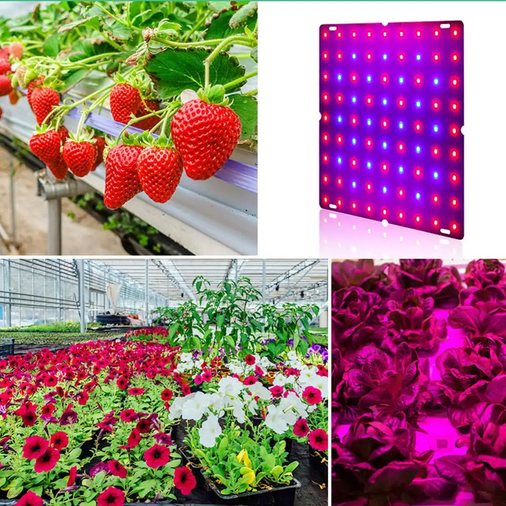 

LED Grow Light 265V Phytolamp For Plants 2835 Lamp Beads Quantum Board Growth Lighting Full Spectrum Hydroponics Plant Lamp