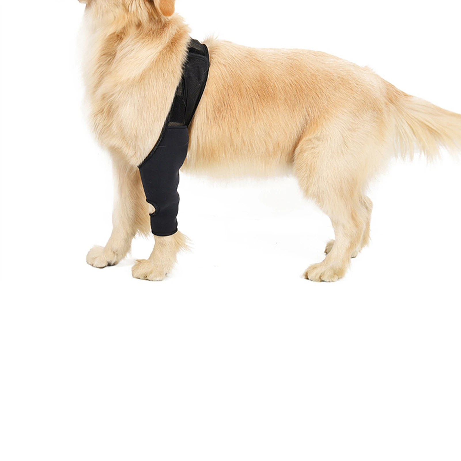 

Послеоперационный рукав для выздоровления собак, защитный рукав для раны на бедре, компрессионный бандаж для выздоровления