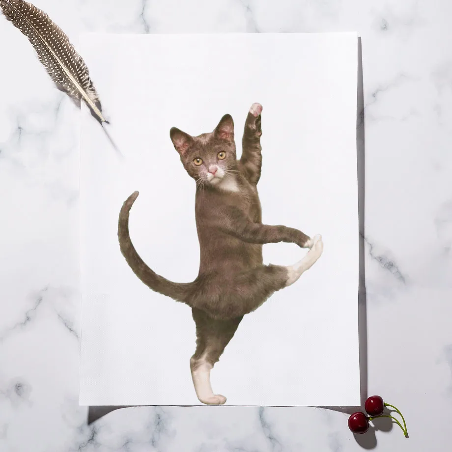 Настенная Картина на холсте с забавным котом гимнастикой котенком скандинавские