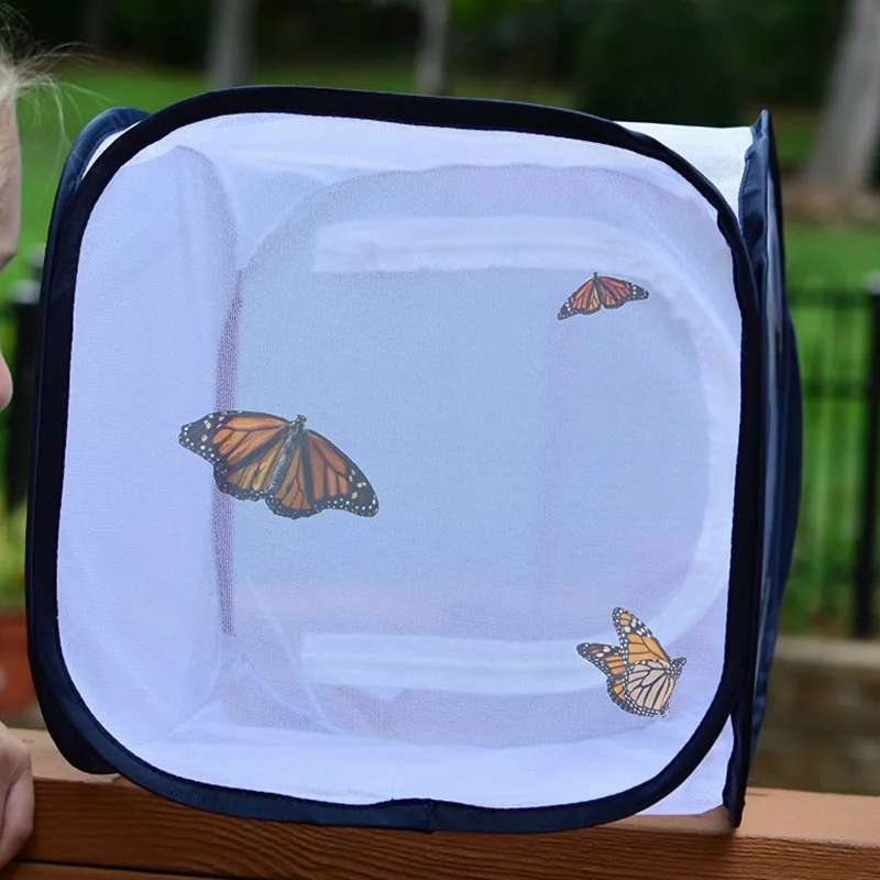 

Foldable Insect Feeding Box Shell Attached Breeding Butterfly Cage Insect Proof Net Pet Cage Seedling Transparent Incubator