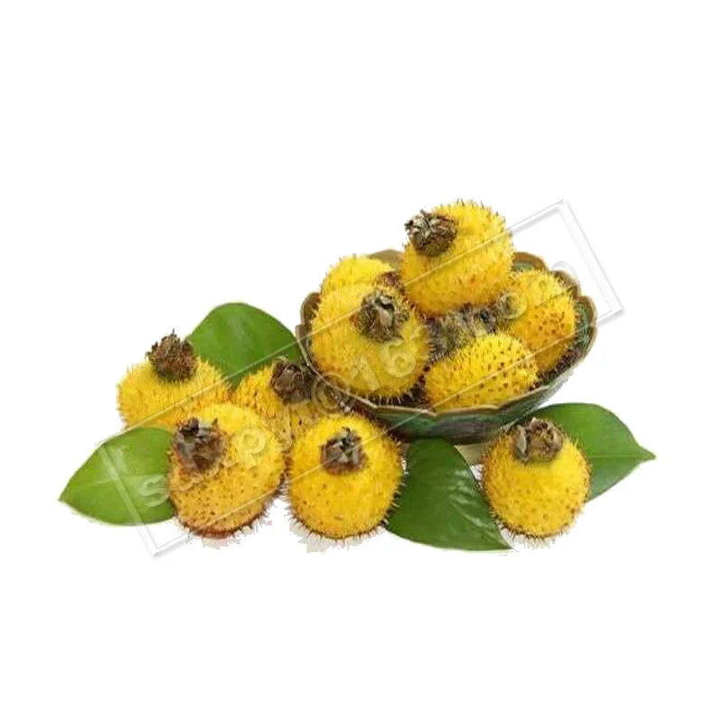 

Pear Extract 99% Plant Fruit Vegetable Anthocyanin