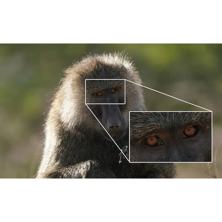 Объектив Sony SEL-200600G FE 200–600mm F/5.6–6.3G OSS for NEX | Электроника