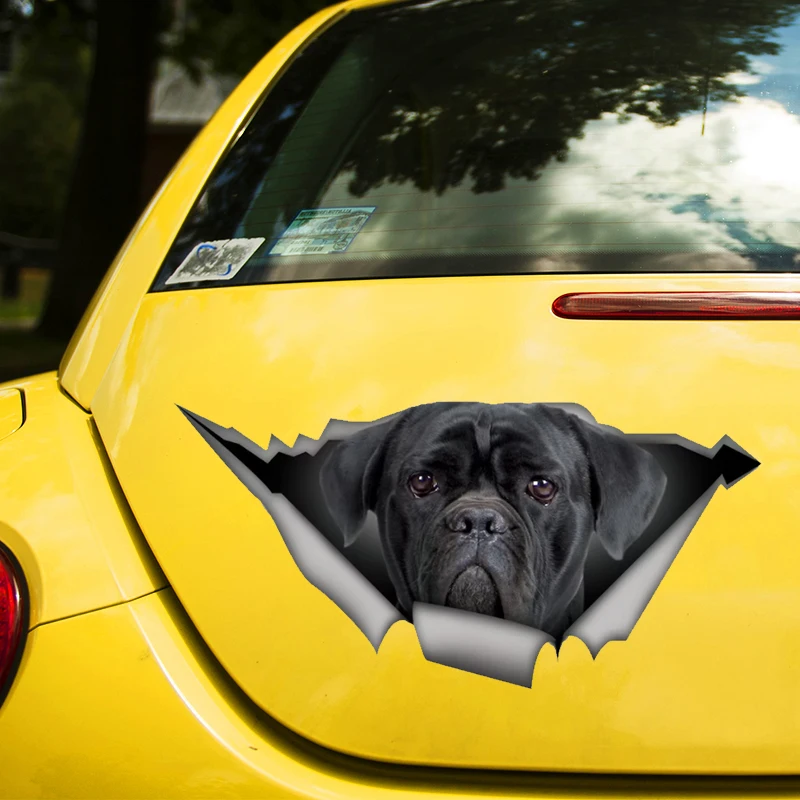 Cane Corso on Board наклейка