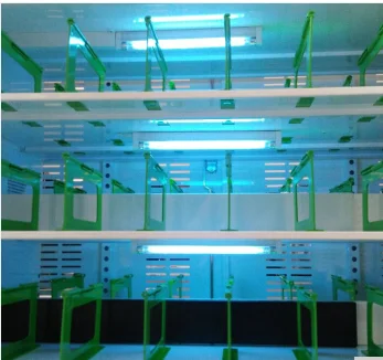 Зарядный шкаф для очков VR зарядный гарнитуры USB быстрой зарядки VR64 (зарядка через