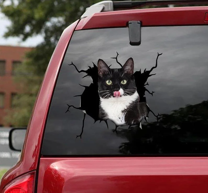 

2022 New Sticker Decal Sticker for Car Window, Laptop, Motorcycle, Walls, Mirror and More