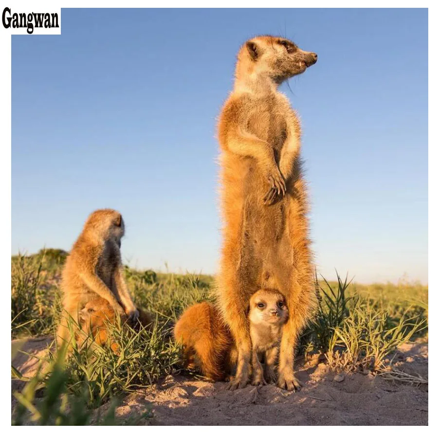 Полноразмерная алмазная живопись сделай сам рисование мешалкой вышивка