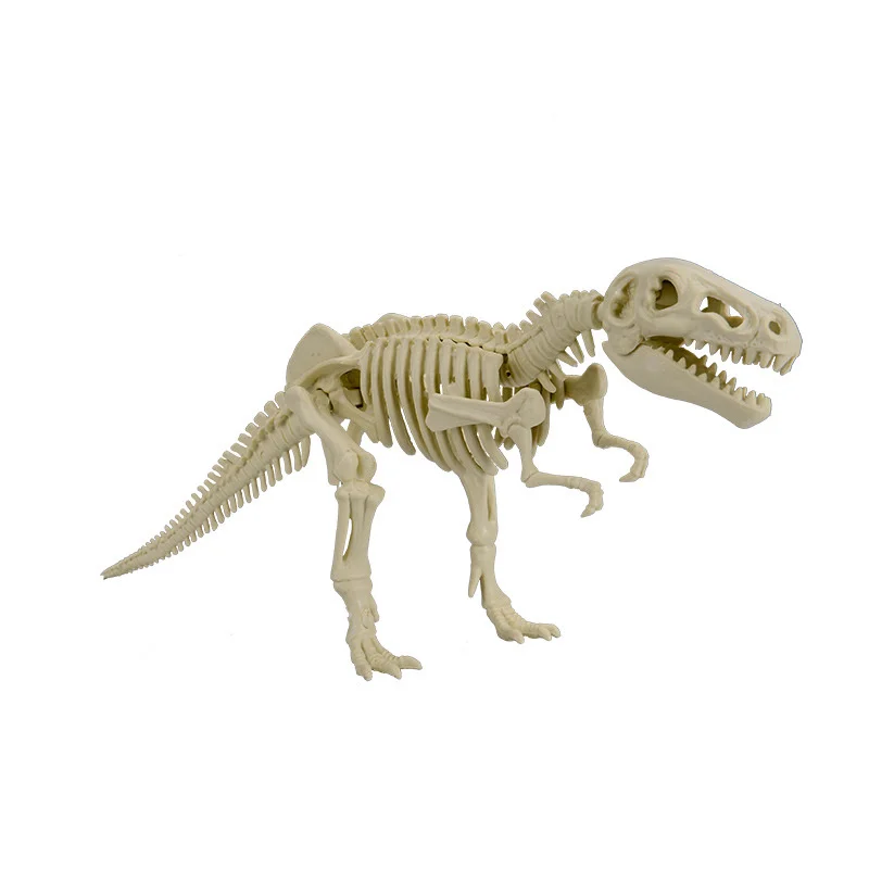 

Digging Dinosaur Skeleton Model Toys Educational Dinosaur Fossil Figures Jurassic World Dinosaur Fossil Toys