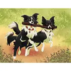 Алмазная живопись 5D сделай сам, животное, черно-белая собака, вышивка крестиком, полная вышивка, мозаика, Наборы для творчества, мозаика, домашний декор, подарок