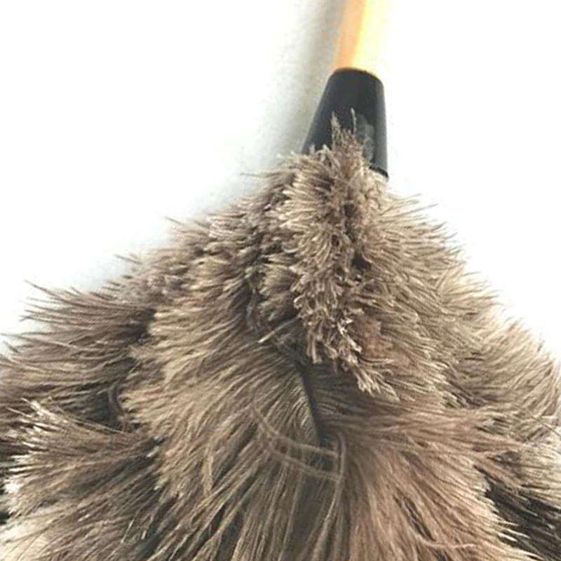 

Anti-Static Ostrich Feather Fur Brush,Duster Dust Cleaning Tool with Wooden Handle