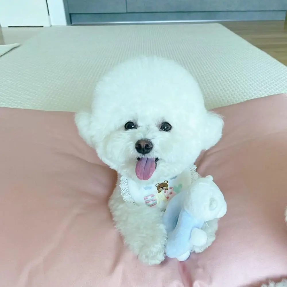 Аксессуары для домашних животных нагрудники собак милые аксессуары с