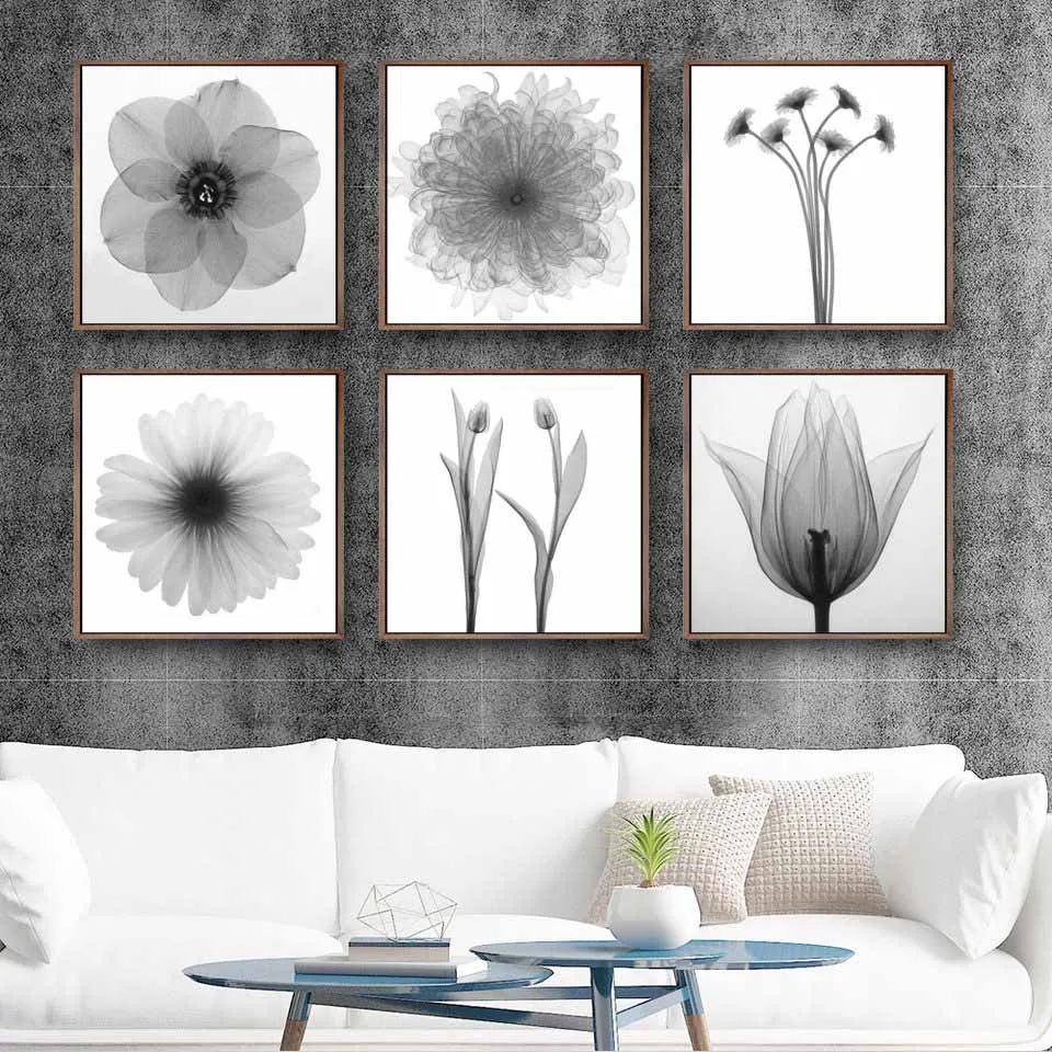 

Home Decoration Painting Print Canvas Wall Art Picture Square Poster Oil Unframed Drawings Black and white transparent Flowers 2