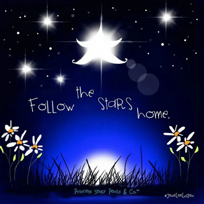 

Полноразмерная Алмазная 5D картина «Звезды» с круглыми цветами