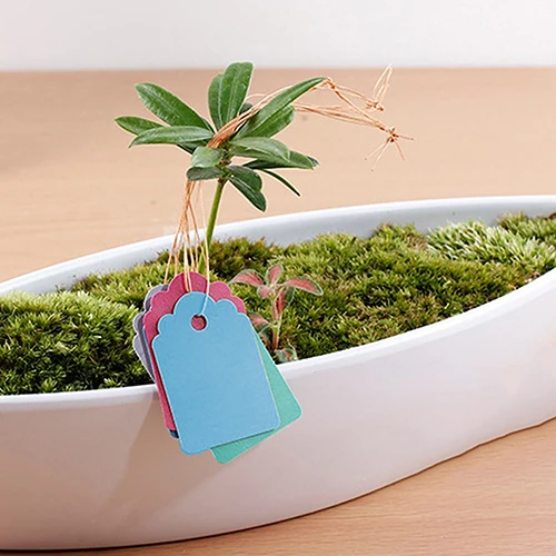 100 шт водонепроницаемые полосы линии садоводства надписи подвесные бирки для