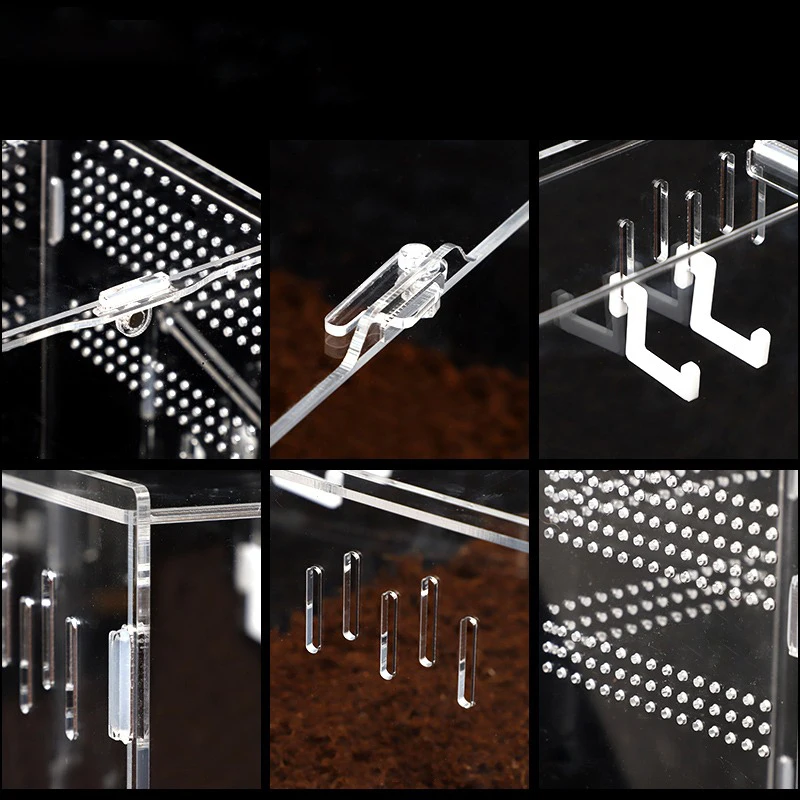 Акриловое волокно для разведения рептилий коробка прозрачный Паук ящерица