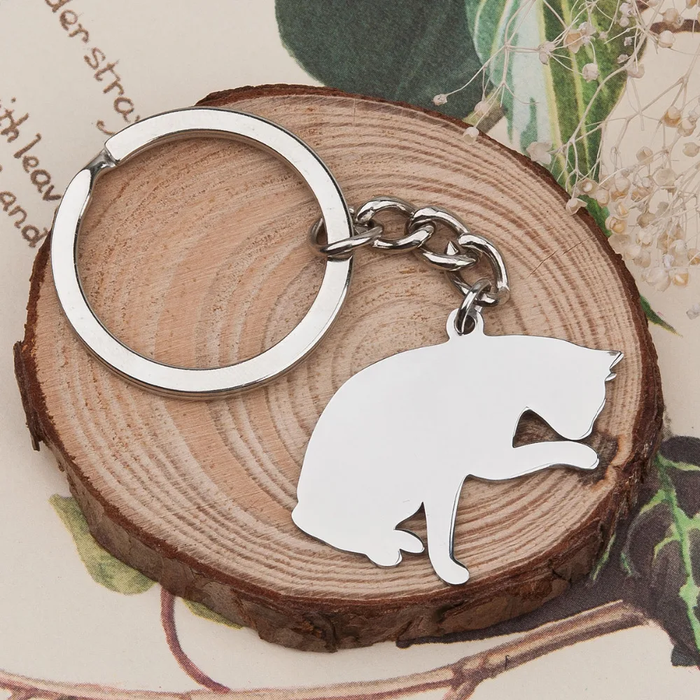 

DoreenBeads Мода 304 Милая кошка из нержавеющей стали фигура питомца брелок и брелок серебряного цвета кошка Сделай Сам 80 мм x 37 мм, 1 шт.