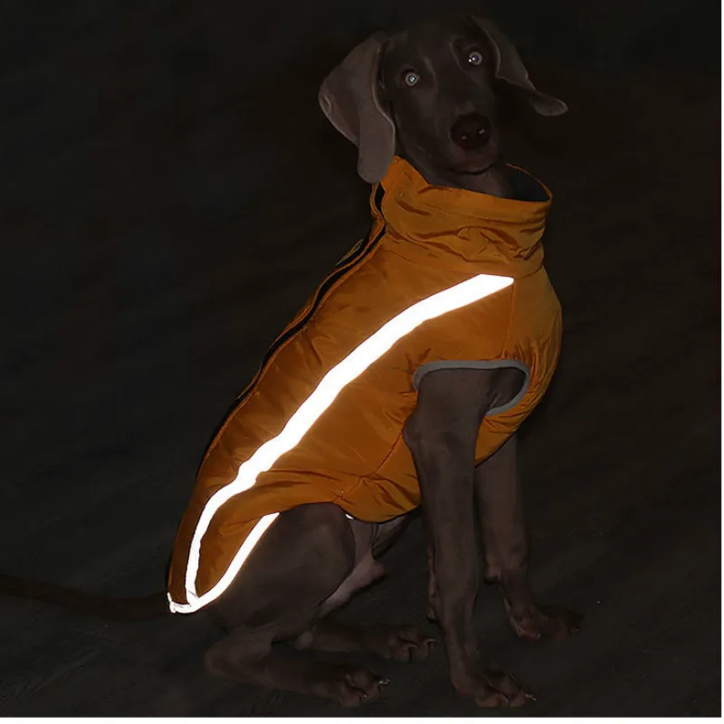 Женская одежда для домашних животных теплая осенне зимняя водонепроницаемая