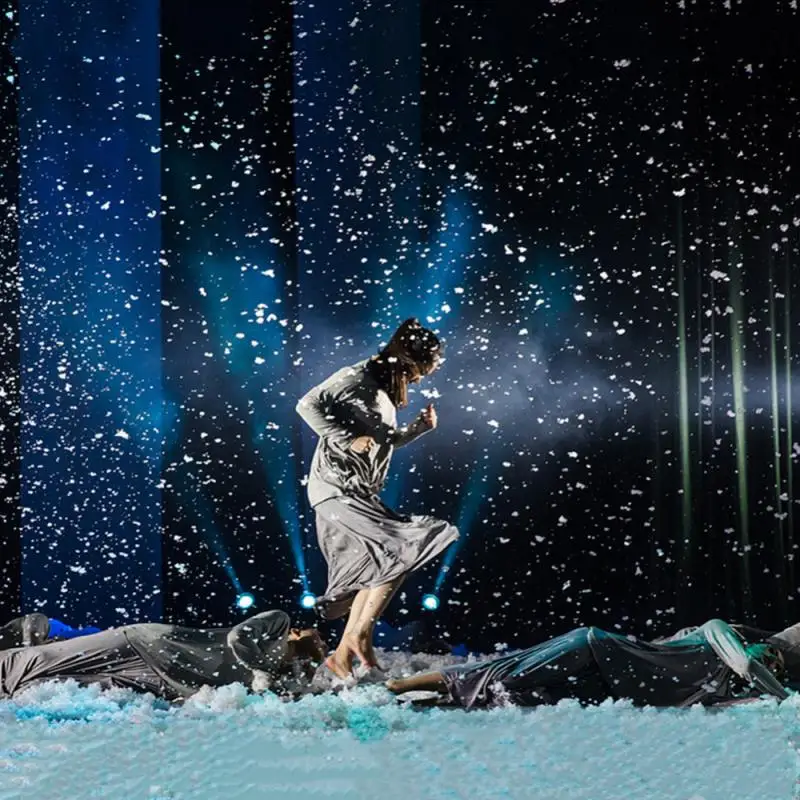 

Artificial Snow Snowflakes Fake Instant Snow Powder Instant Snow Fluffy Flake Absorbant White Snow Decoration