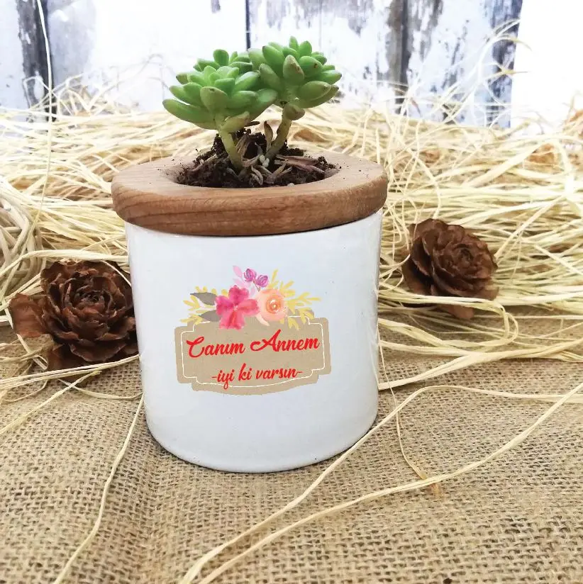 

Dear Mom Design Custom Live In Pots Sukulent -1