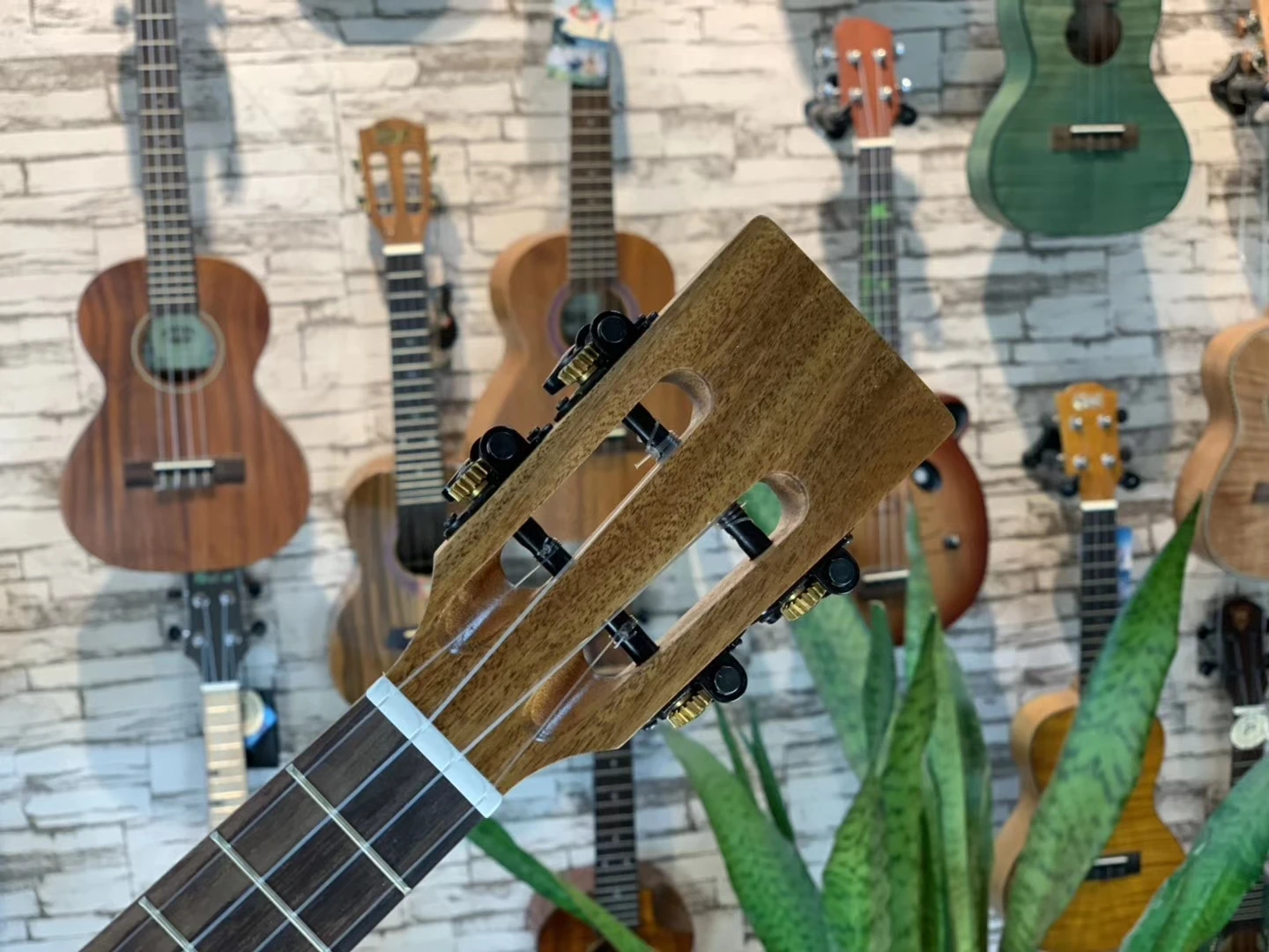 volle feste ukulele alle acacia matt konzert tenor 23 26 in elektrische gitarre ukelele 4 strings guitarra uke akustische free global shipping