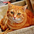 Алмазная живопись Huacan 5D сделай сам, картина с изображением апельсинового кота для украшения дома, мозаика для вышивки стразами