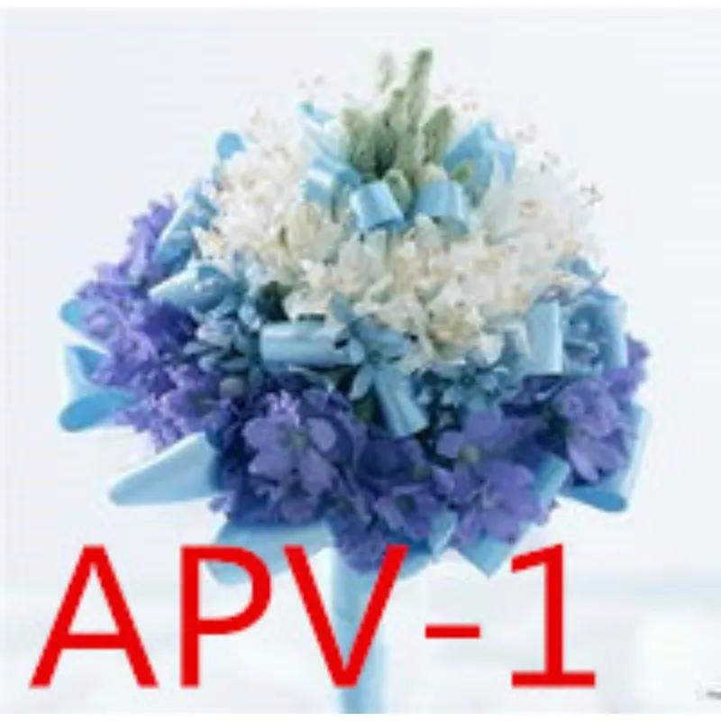

Weddings and important occasions / Wedding accessories / Bridal bouquets APV