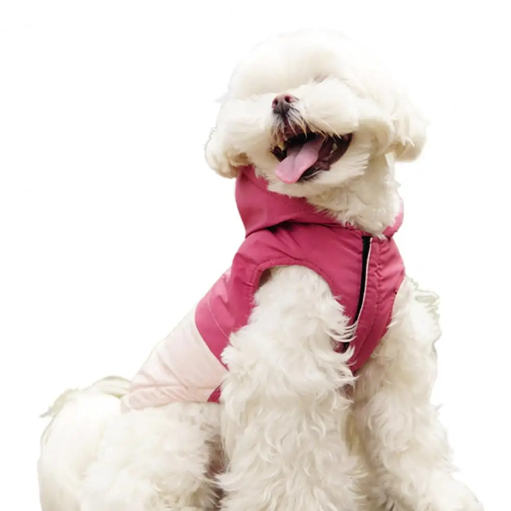 

Pet Jacket Color-stitching Comfortable Fashion Dog Two-legged Vest Clothes for Autumn Winter