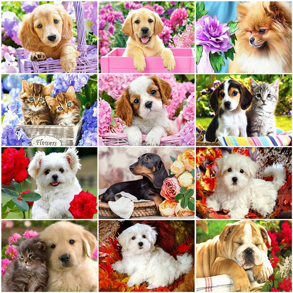 Набор для рисования по номерам на холсте AZQSD уникальный подарок животных