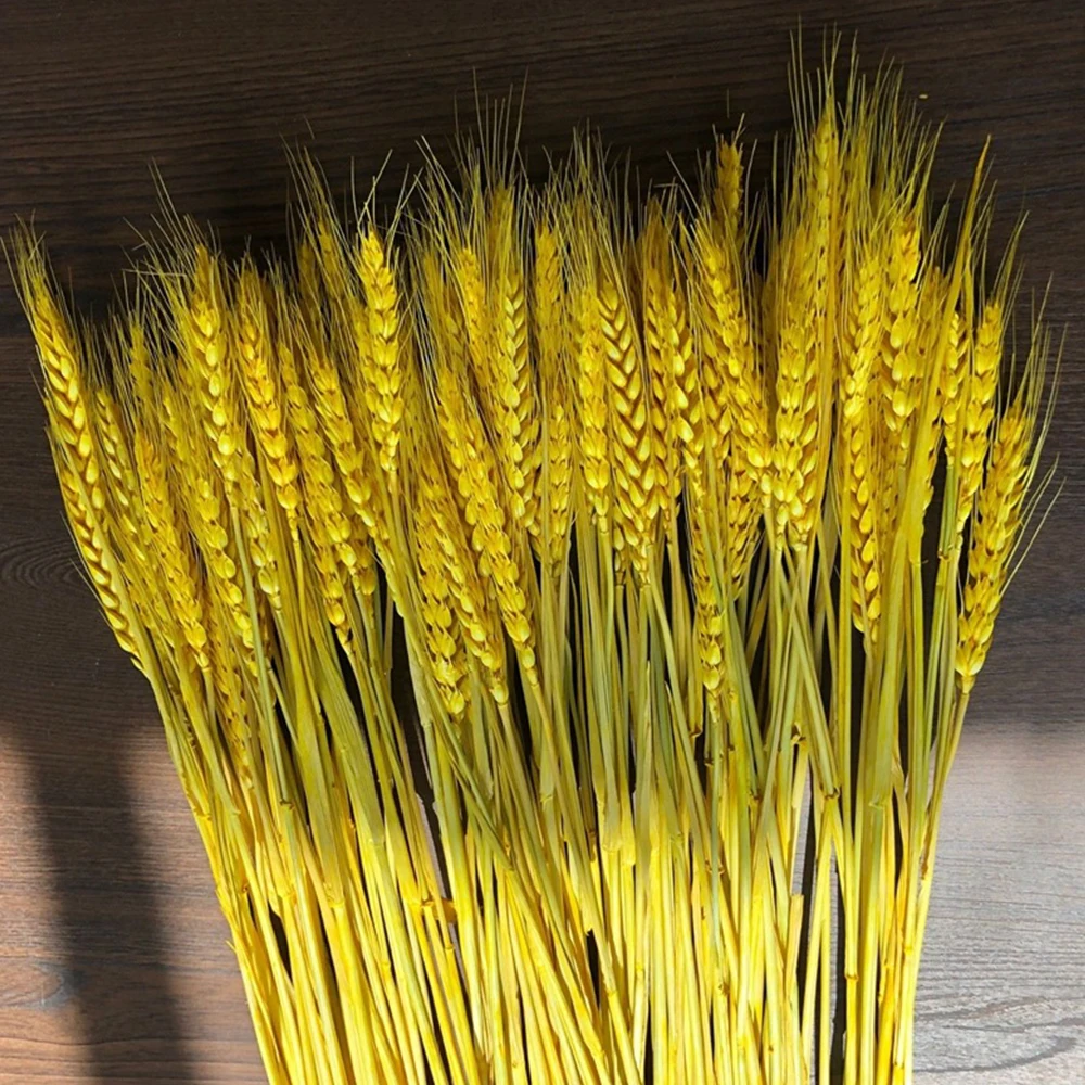 

Real Party Photography 100PCS Wheat Ear Pretty Decoration Natural