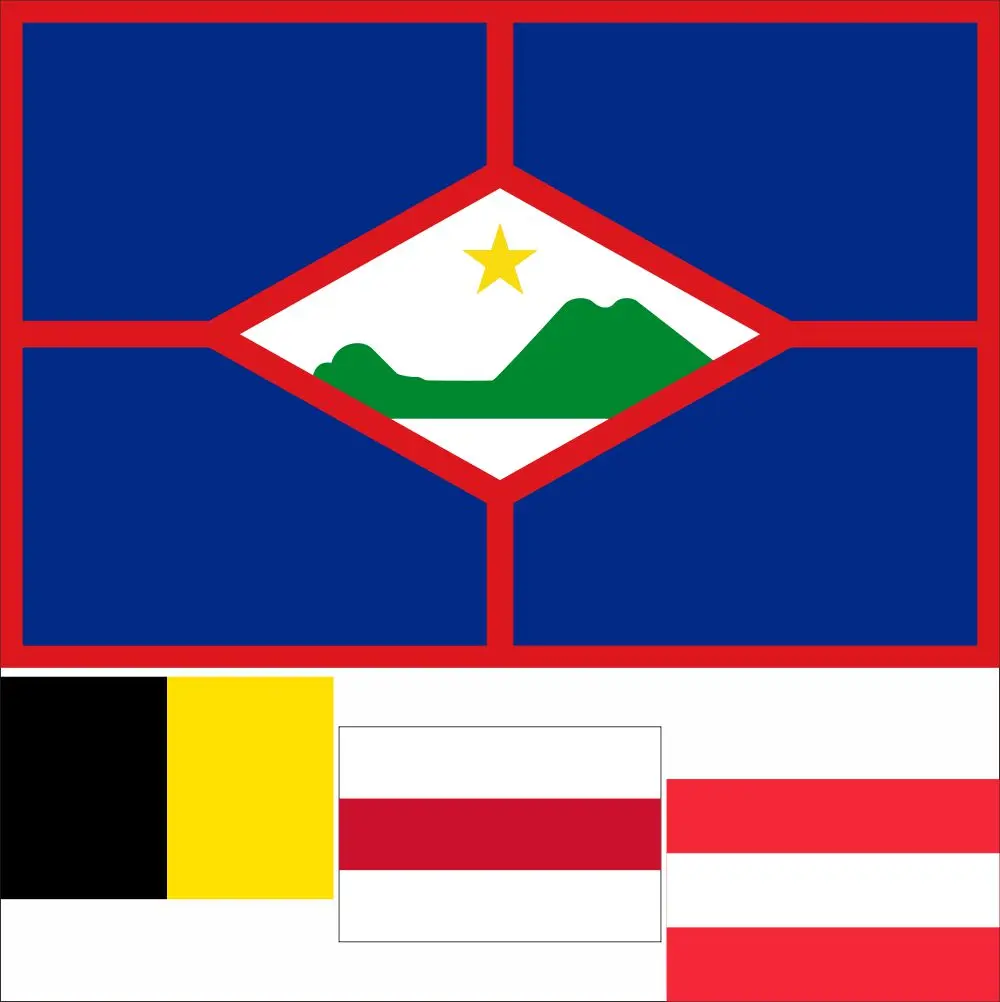 

Netherlands Enschede City Flag 3X5FT 90x150cm 100D Polyester Banner Sint Eustatius