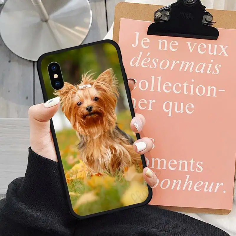 

Yorkshire Terrier dog cute Phone Case for iPhone 11 12 pro XS MAX 8 7 6 6S Plus X 5S SE 2020 XR